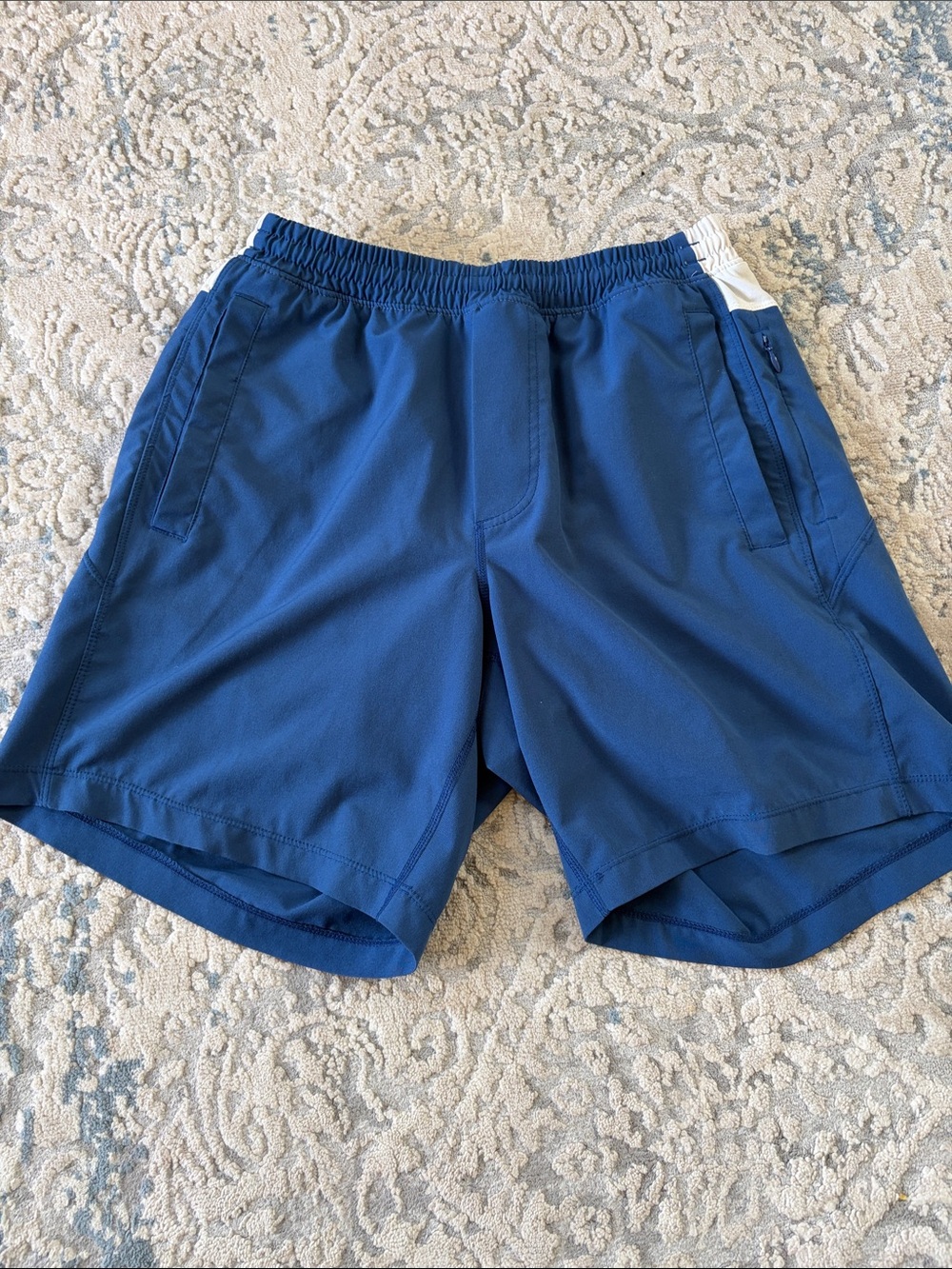 Birddogs Navy Shorts with Cream Waistband